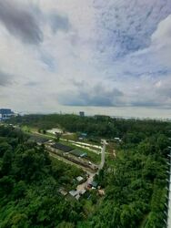 Normanton Park (D5), Apartment #588828321